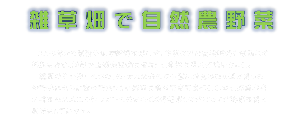 雑草畑で自然農野菜